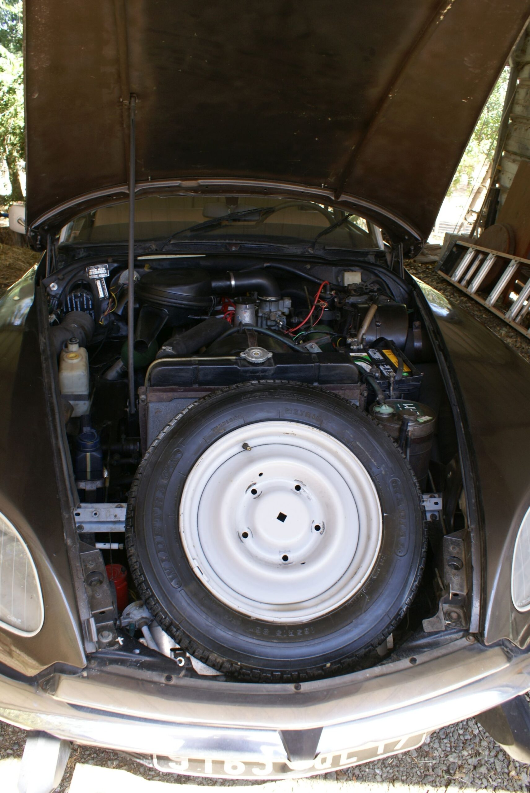 1973 DSpecial