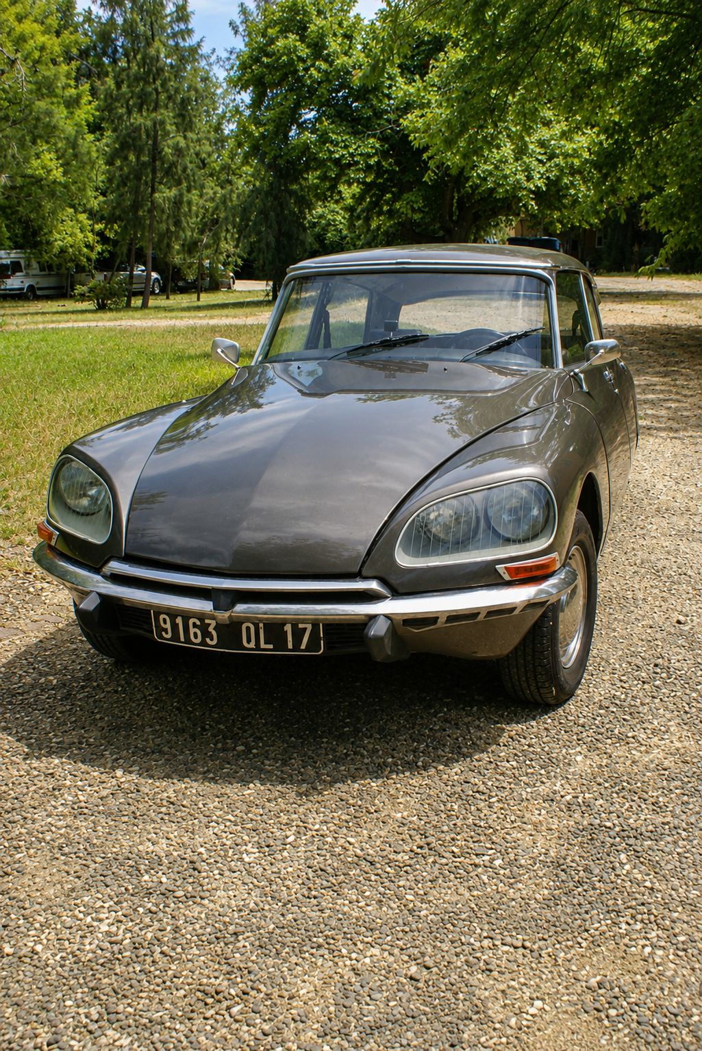 1973 DSpecial