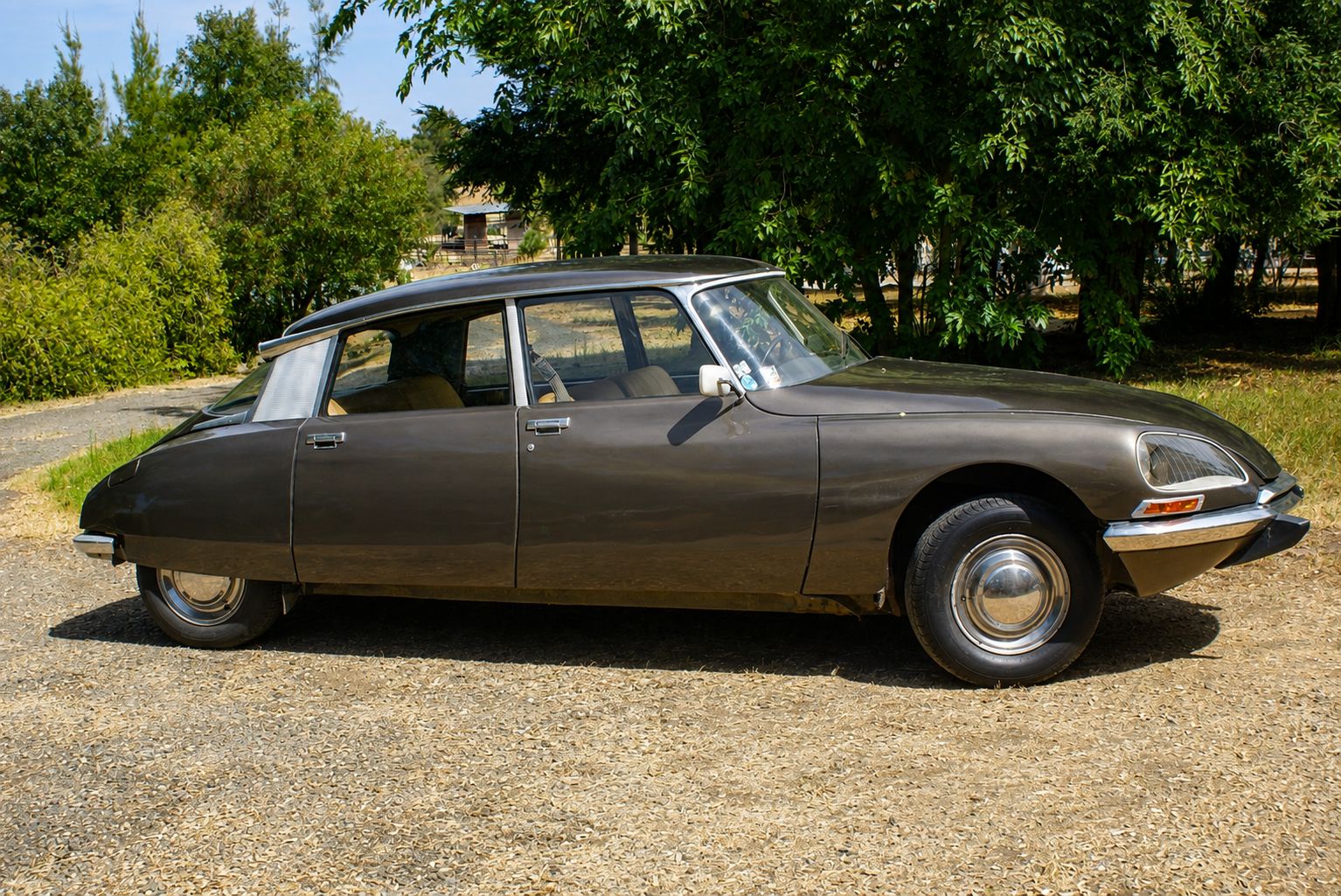 1973 DSpecial
