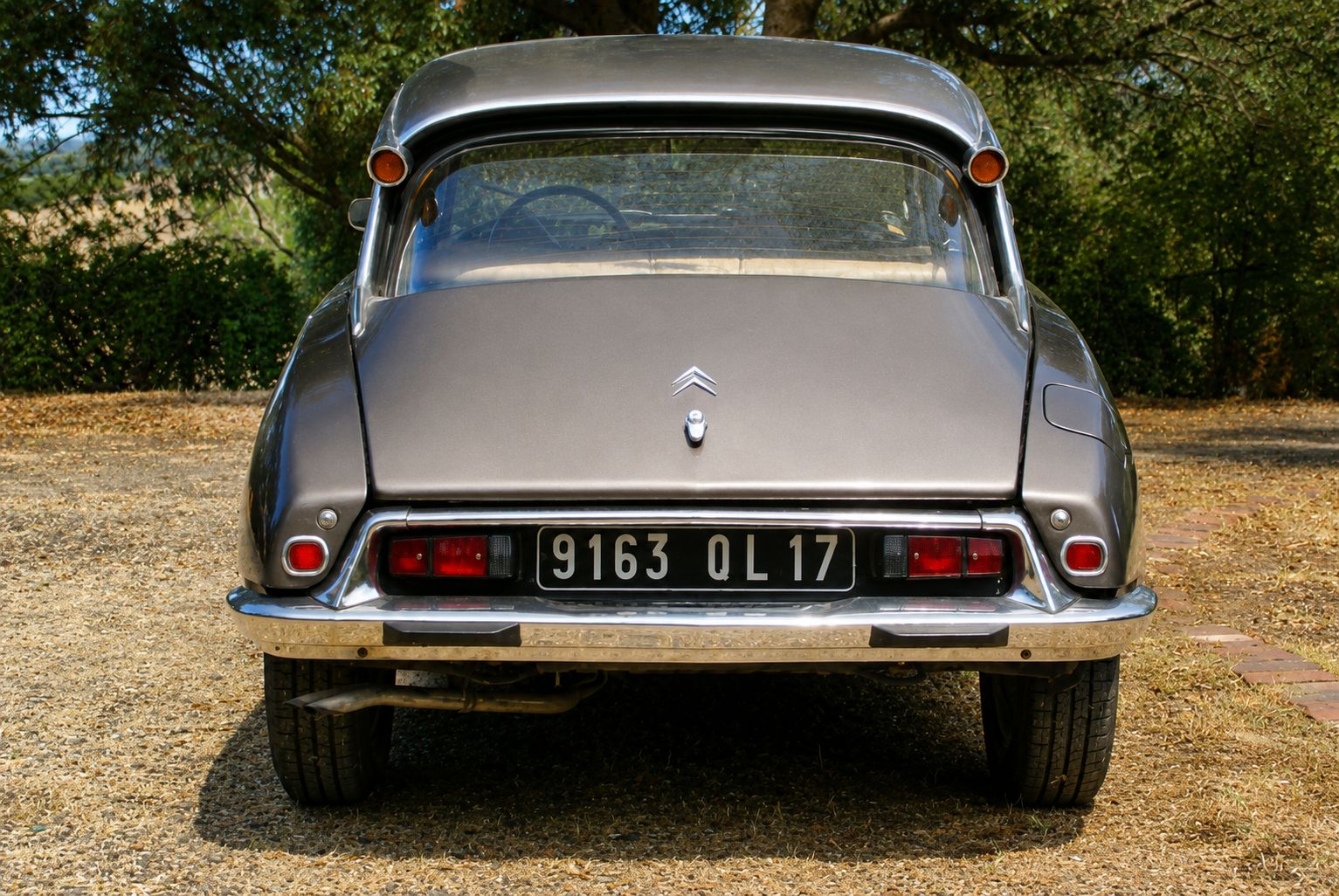 1973 DSpecial